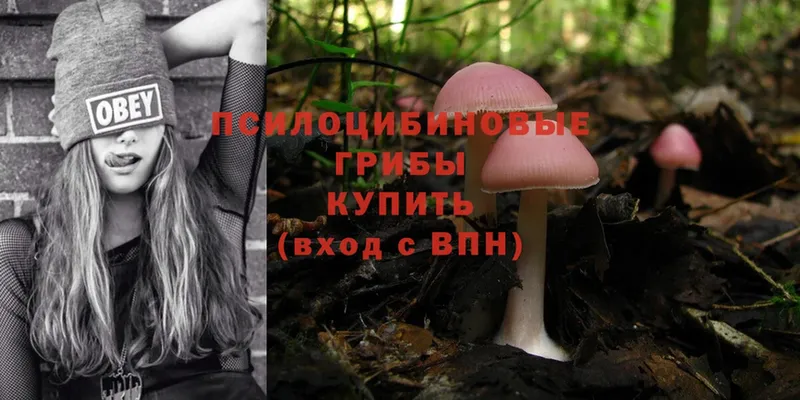 Галлюциногенные грибы Magic Shrooms  купить закладку  Когалым 